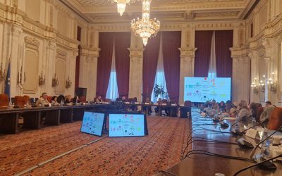 20.11.2024.Conferinta (4)